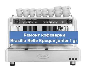 Чистка кофемашины Brasilia Belle Epoque junior 1 gr от кофейных масел в Тюмени